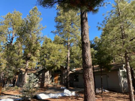 Photo of 2571 Joe Dolan