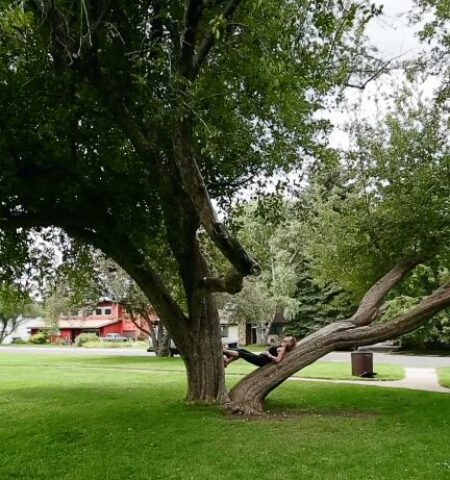 Photo of Coconino Estates: A Flagstaff Gem