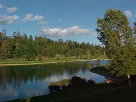 Photo of 6250 E Willow Loop, Flagstaff, AZ 86004