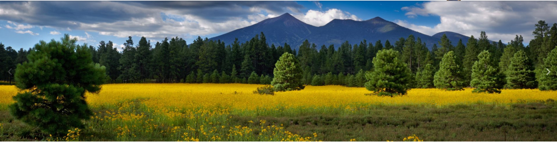 Beautiful Flagstaff