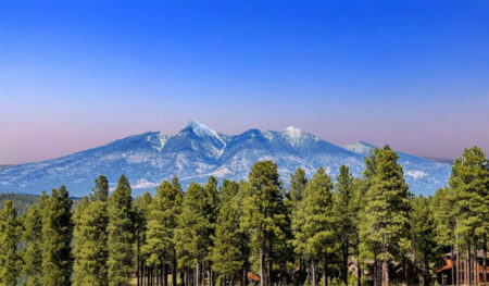 Photo of Cosnino Road: A Peaceful Retreat in East Flagstaff