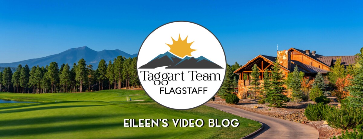Eileen's Video Blog