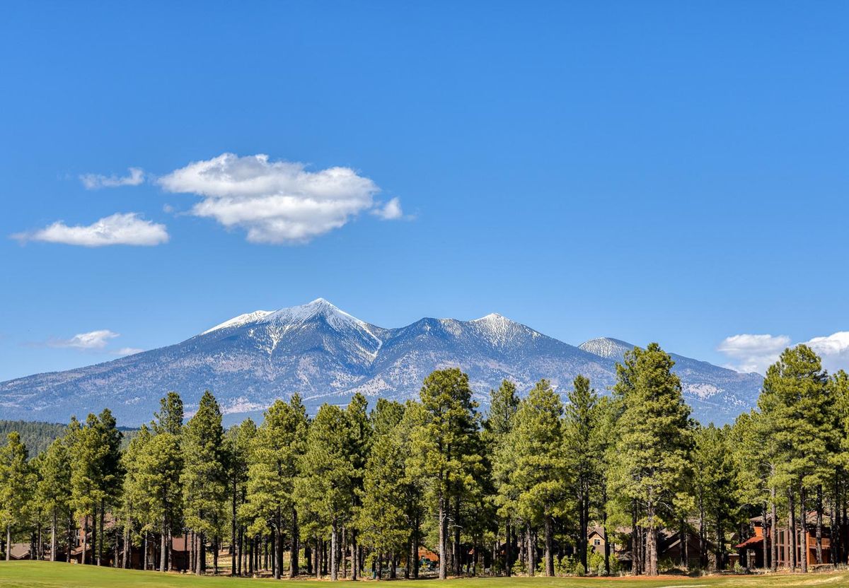 Pinnacle Pines Townhomes Eileen Taggart Flagstaff Real Estate RE