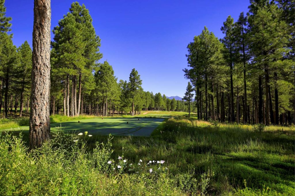 Forest Highlands Golf View