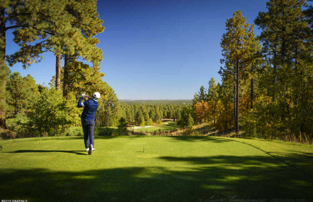 Golfer