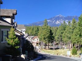New Homes and Townhomes