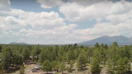 Photo of Ponderosa Trails: A Desirable and Loved Flagstaff Neighborhood
