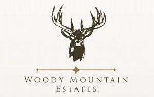 woody mountain logo